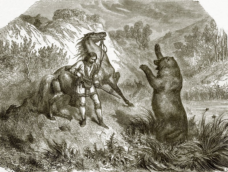 Az első lövés grizzly medvére alkotó: English School