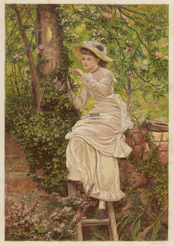 A nevelőanya: fiatal nő, aki árva madárfiókákat etet egy fészekben (színes litho) alkotó: English School