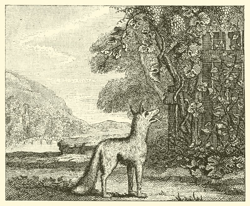 A róka és a szőlő (metszet) alkotó: English School