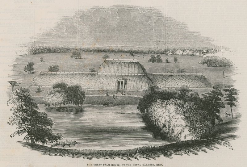 A nagyszerű pálmaház a Royal Gardens-ben, Kew, London alkotó: English School