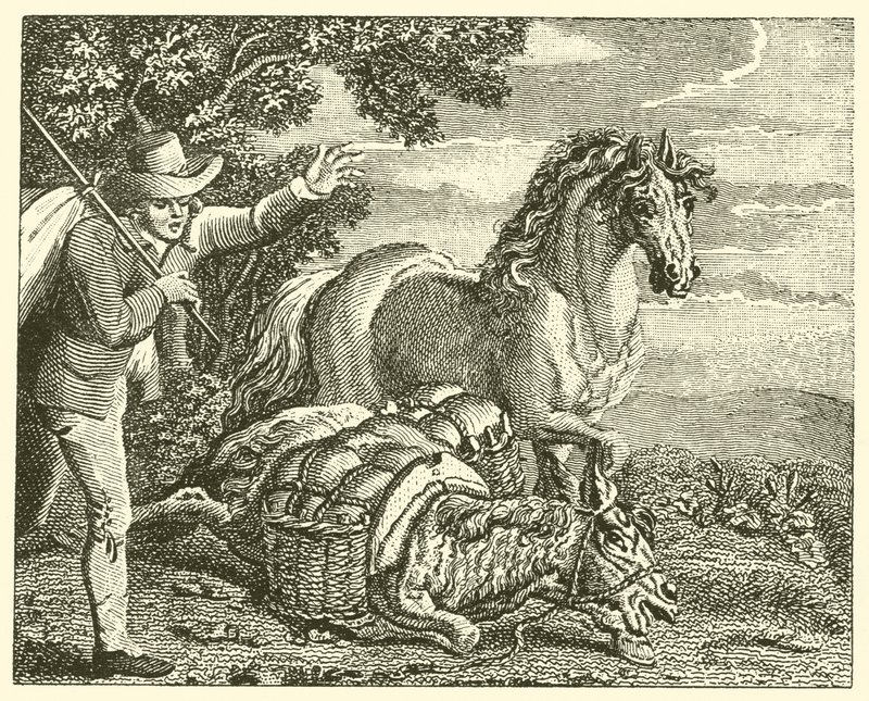 A ló és a megrakott szamár (metszet) alkotó: English School