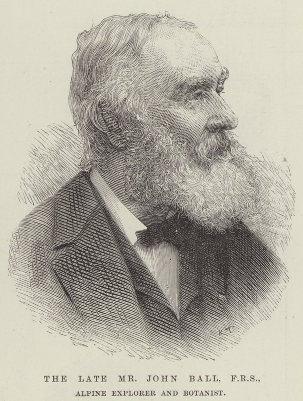 A néhai John Ball úr, FRS, alpesi felfedező és botanikus (metszet) alkotó: English School