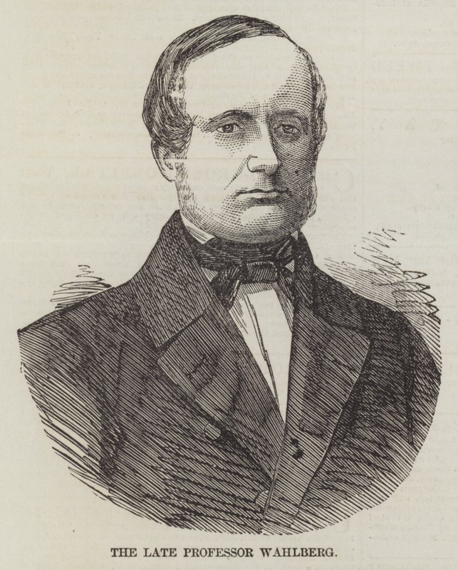 A néhai Wahlberg professzor (metszet) alkotó: English School