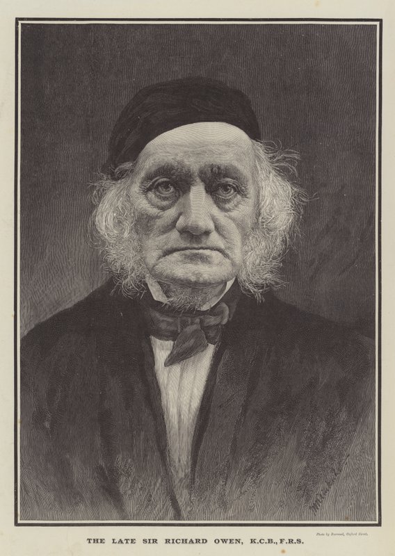 A néhai Sir Richard Owen, KCB, FRS (metszet) alkotó: English School