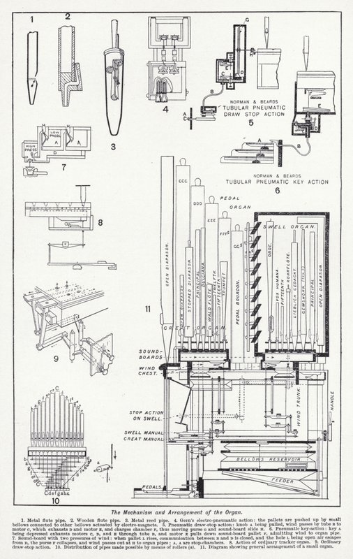 A szerv mechanizmusa és elrendezése (litho) alkotó: English School