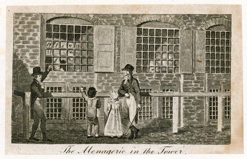 A londoni Tower menazsériája 1820 körül alkotó: English School