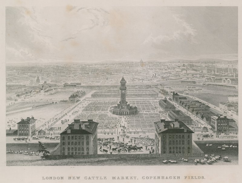 Az új Metropolitan Cattle Market, Copenhagen Fields, London alkotó: English School