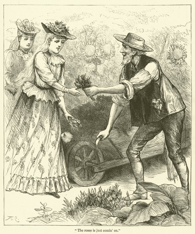 "A rózsák csak most jönnek" (metszet) alkotó: English School