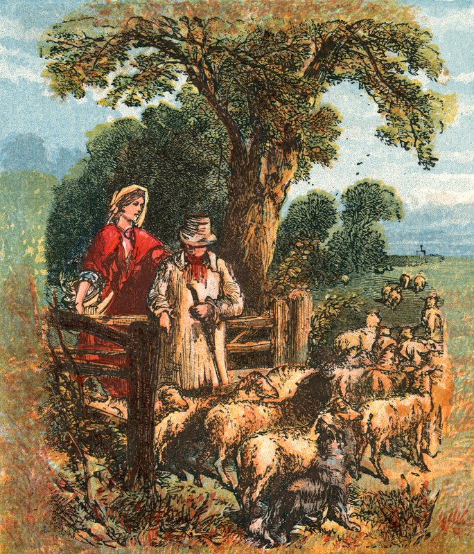 A pásztor megszámolja a juhait alkotó: English School