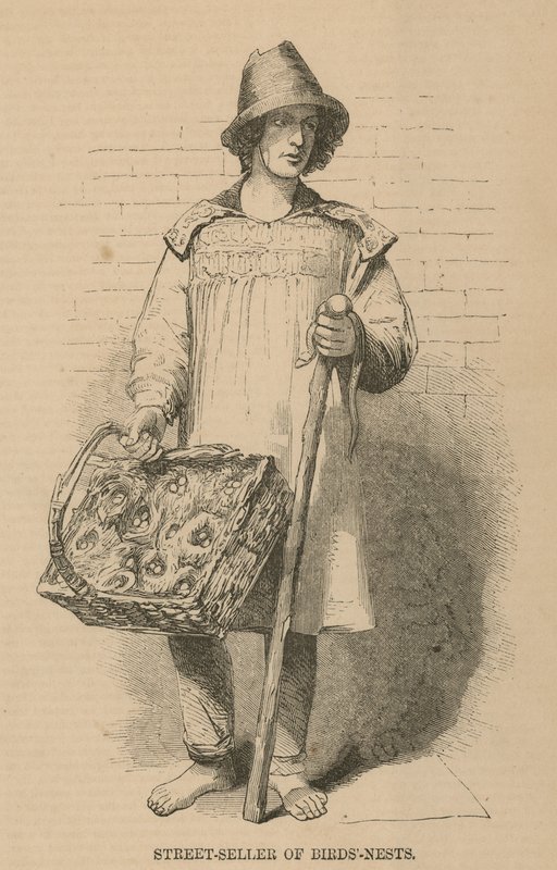 A madárfészkek utcai árusa alkotó: English School
