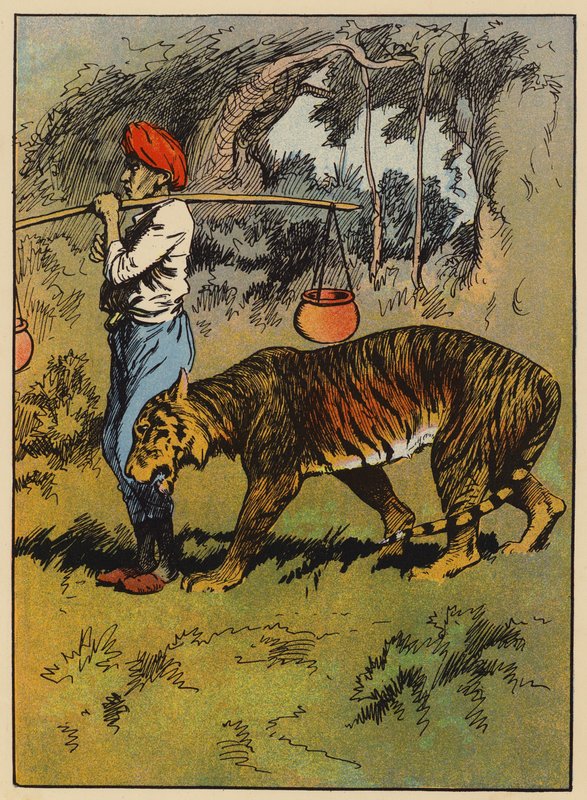 A tigris a férfi lábához dörzsöli magát (színes litho) alkotó: English School