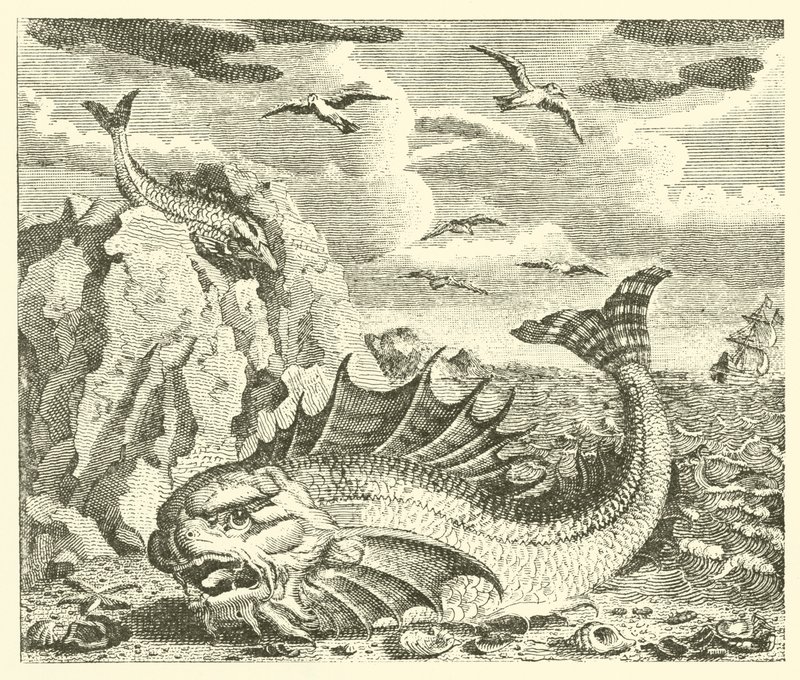 A tonhal és a delfin (metszet) alkotó: English School