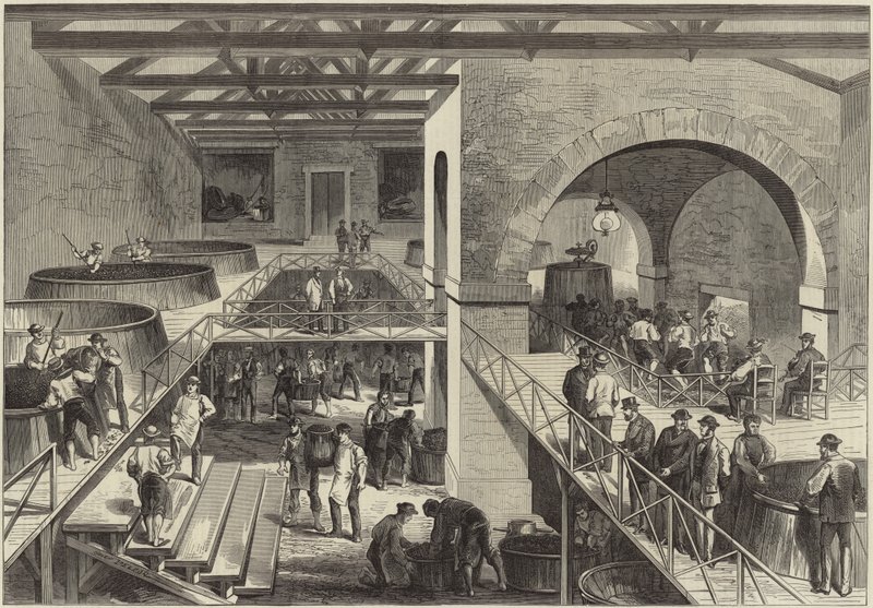 Medoc évjárata alkotó: English School