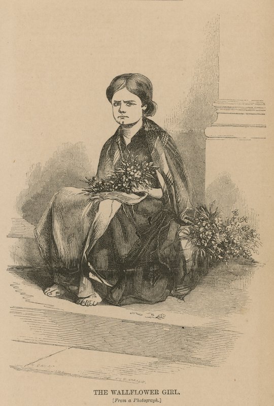 A falvirág lány alkotó: English School