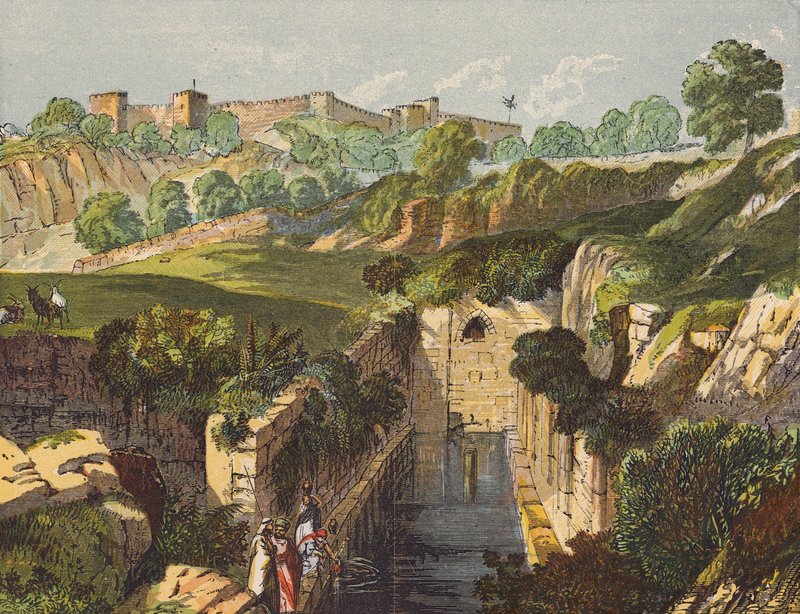 Shiloah vizei, amelyek halkan folynak (színes litográfia) alkotó: English School