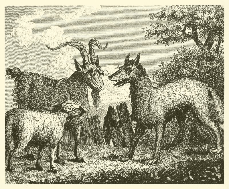 A farkas, a bárány és a kecske (metszet) alkotó: English School