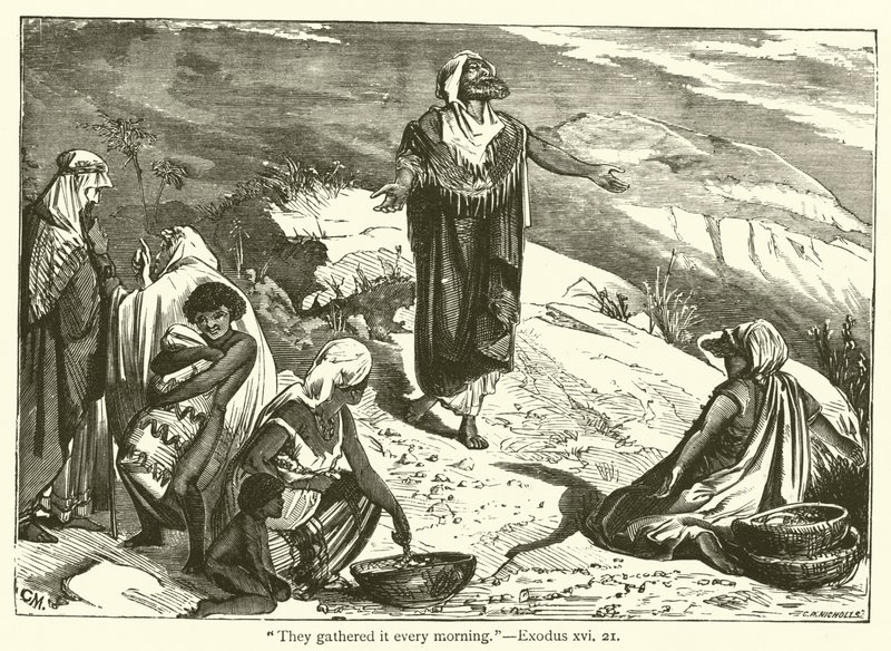 "Minden reggel összeszedték", Exodus, xvi, 21 (metszet) alkotó: English School