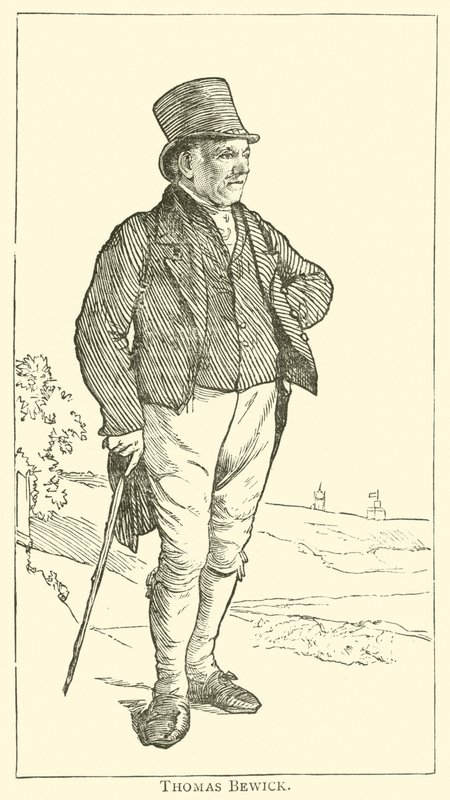 Thomas Bewick (metszet) alkotó: English School