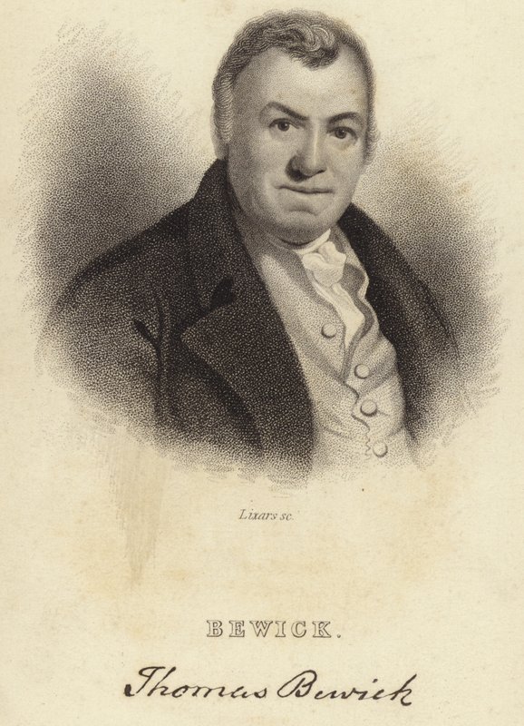Thomas Bewick alkotó: English School