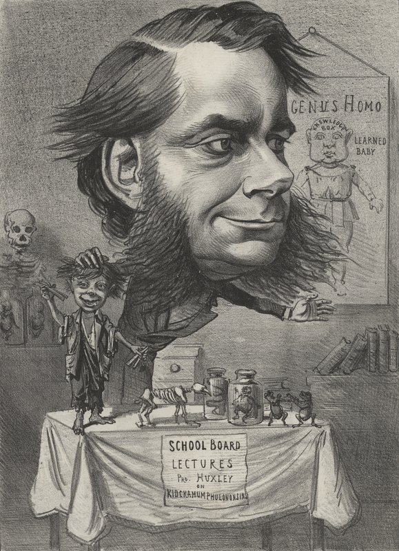 Thomas Henry Huxley angol biológus alkotó: English School