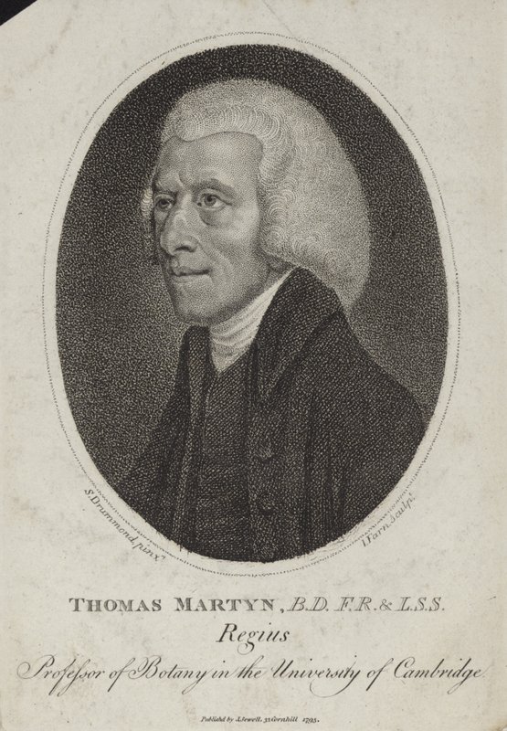 Thomas Martyn alkotó: English School