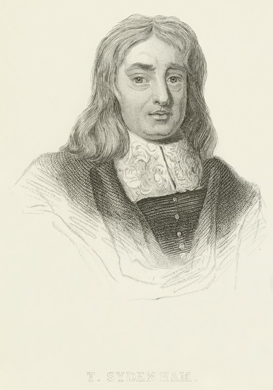 Thomas Sydenham alkotó: English School