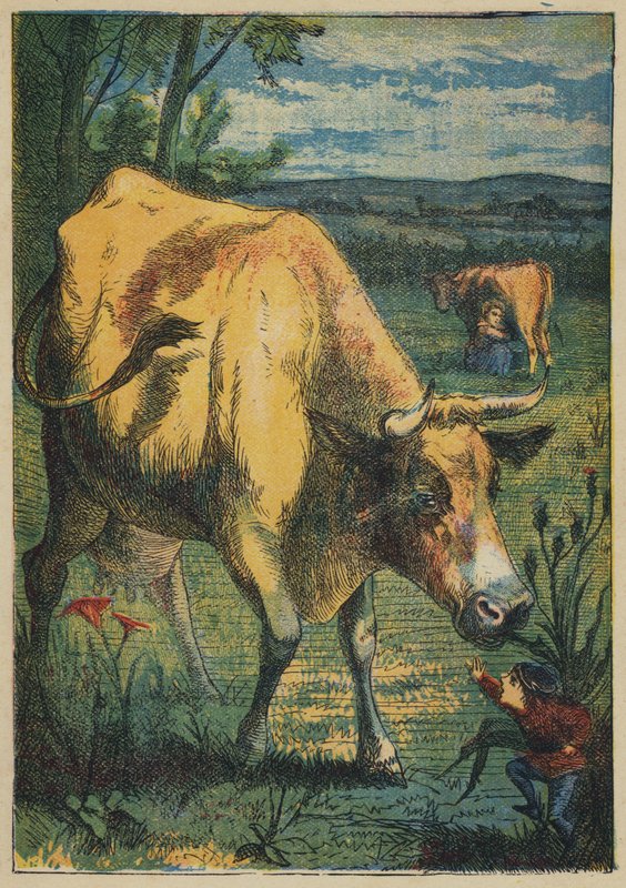 Tom Thumb és a tehén (színes litó) alkotó: English School