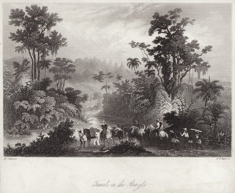 Utazások a brazilokban alkotó: English School