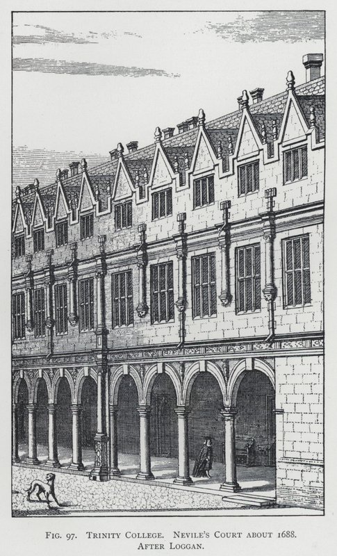 Trinity College, Nevile