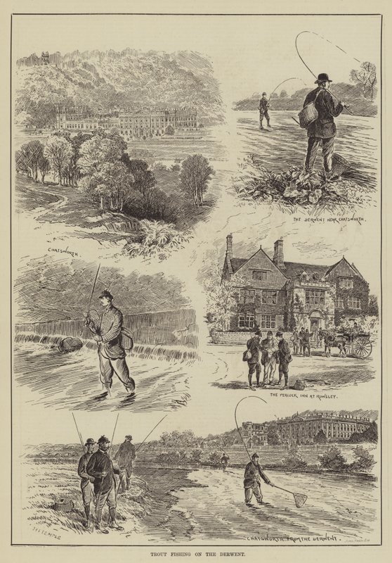 Pisztránghalászat a Derwenten (metszet) alkotó: English School