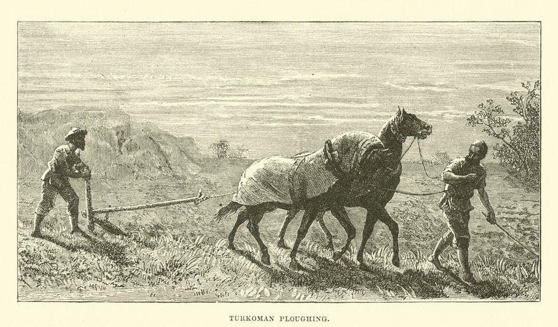 turkomán szántás alkotó: English School
