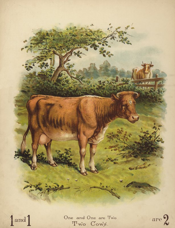 Két tehén (chromolitho) alkotó: English School