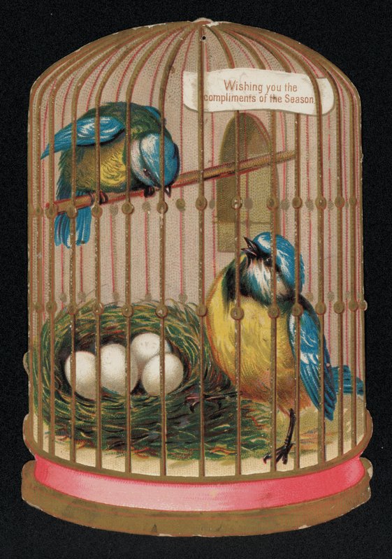 Két kék mell egy ketrecben, karácsonyi üdvözlőlap (chromolitho) alkotó: English School