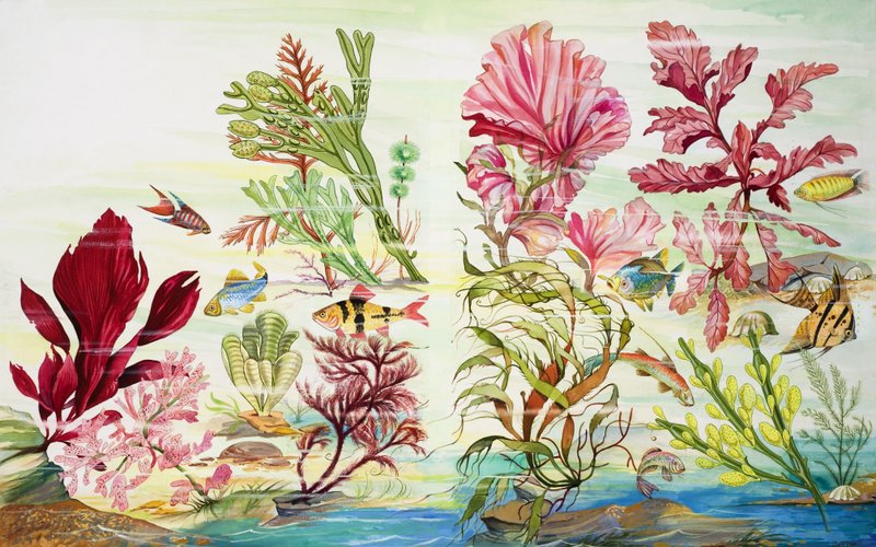 Víz alatti növények (gouache, papír) alkotó: English School