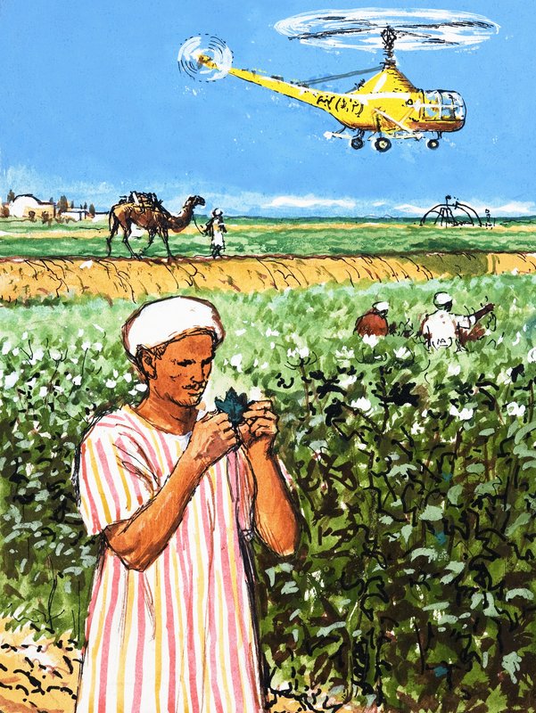 Ismeretlen arab gazdálkodó tevével és helikopterrel a háttérben alkotó: English School