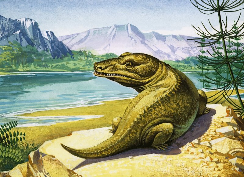 Azonosítatlan krokodilszerű dinoszaurusz alkotó: English School