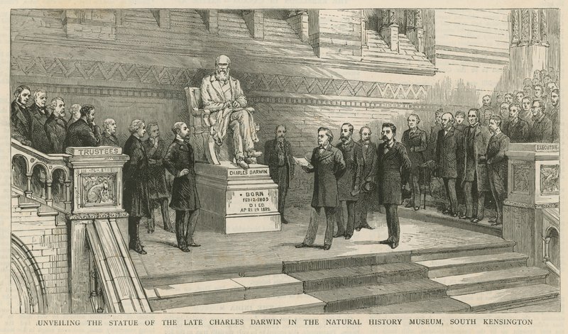 A néhai Charles Darwin szobrának leleplezése a South Kensington-i Természettudományi Múzeumban alkotó: English School