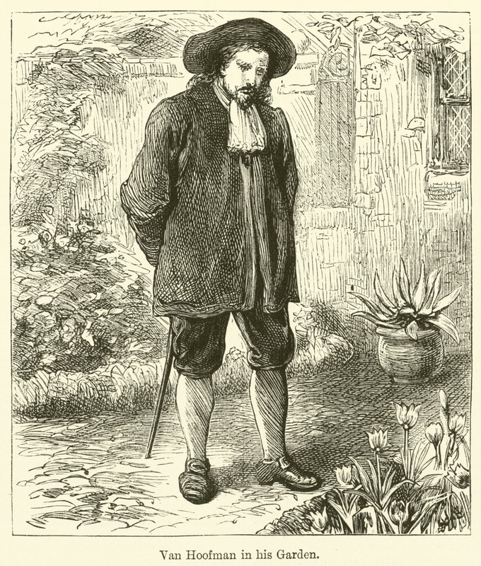Van Hoofman a kertjében (metszet) alkotó: English School