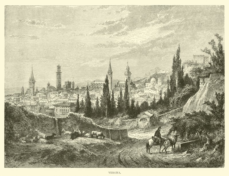 Verona alkotó: English School