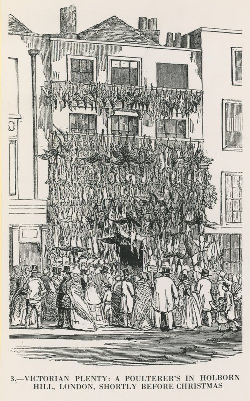 Viktoriánus rengeteg alkotó: English School