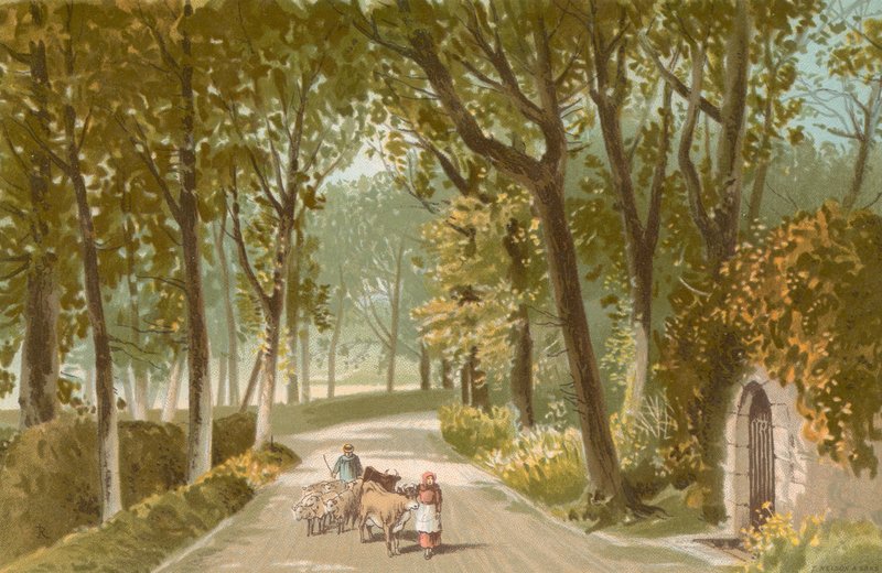 Vinchelez Lane – Jersey alkotó: English School