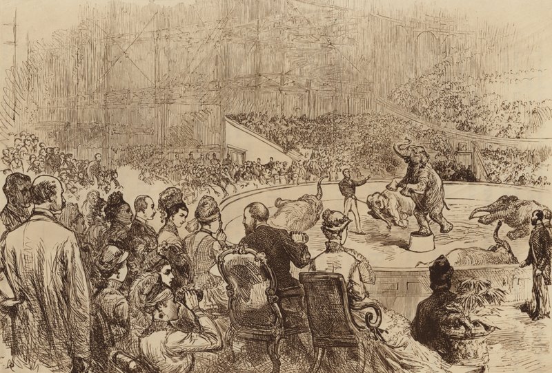 Walesi herceg és hercegnő, valamint Görögország királya és királynője látogatása, 1876 alkotó: English School