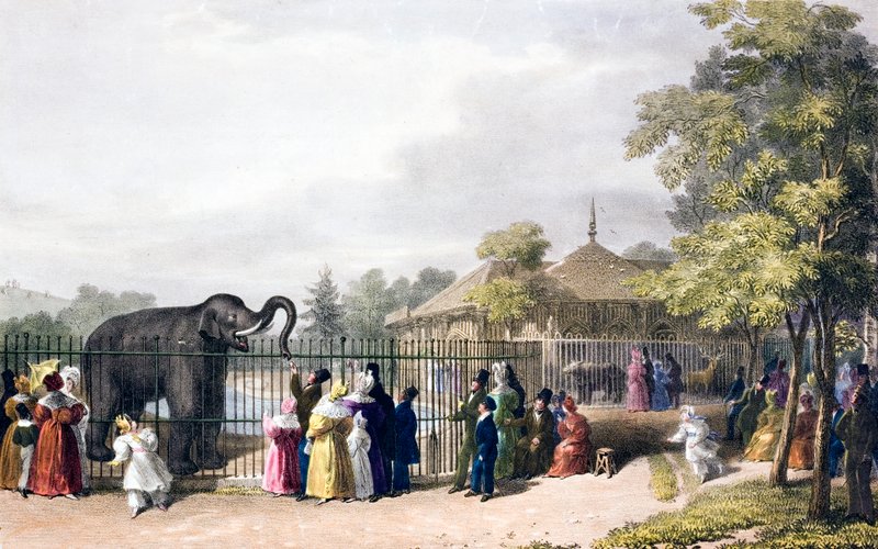 Látogatók a londoni állatkertben, Regent