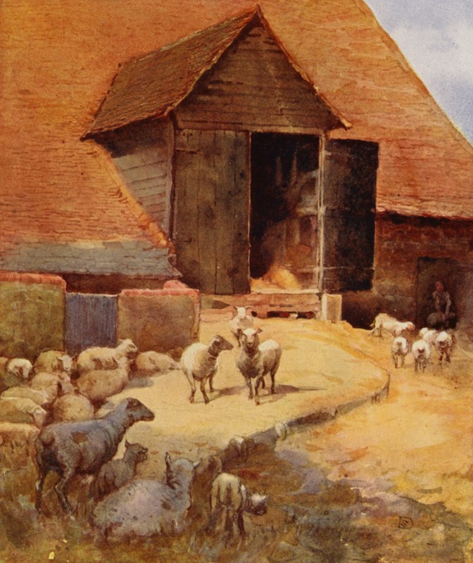 Nyírásra vár (színes litó) alkotó: English School
