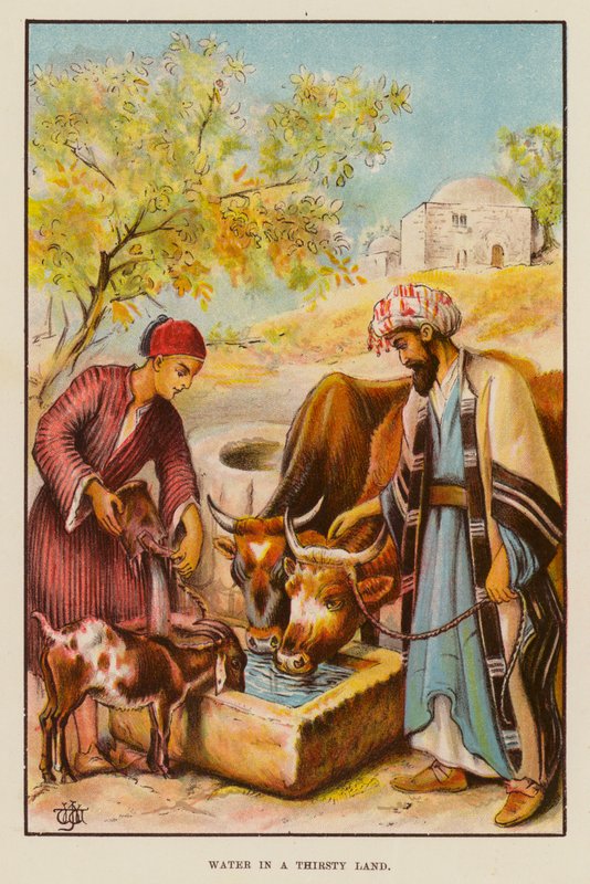 Víz a szomjas földön (színes litó) alkotó: English School