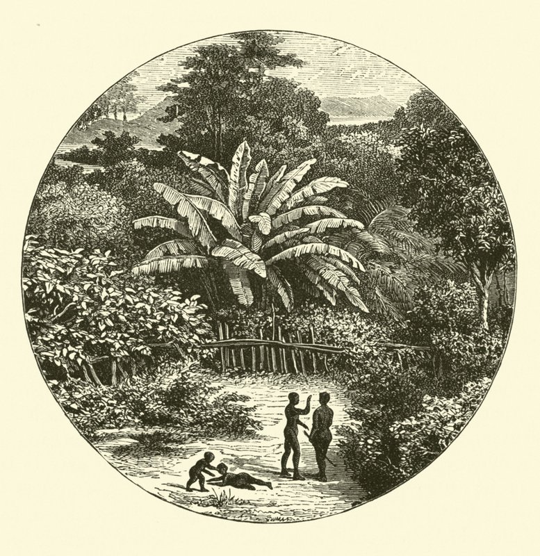 Nyugat-Afrika alkotó: English School