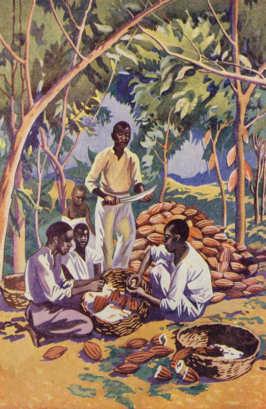 Nyugat-Afrika, Kakaóhüvelyek nyitása (színes litográfia) alkotó: English School