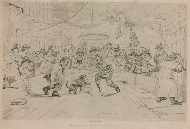 Westminster Pit alkotó: English School