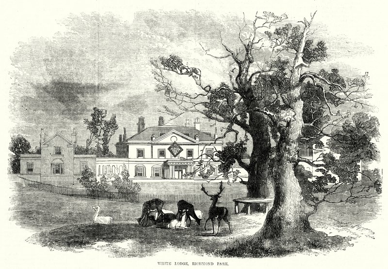 White Lodge, Richmond Park (metszet) alkotó: English School