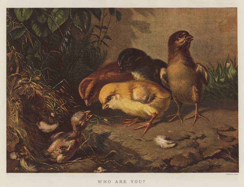 Ki vagy te (chromolitho) alkotó: English School
